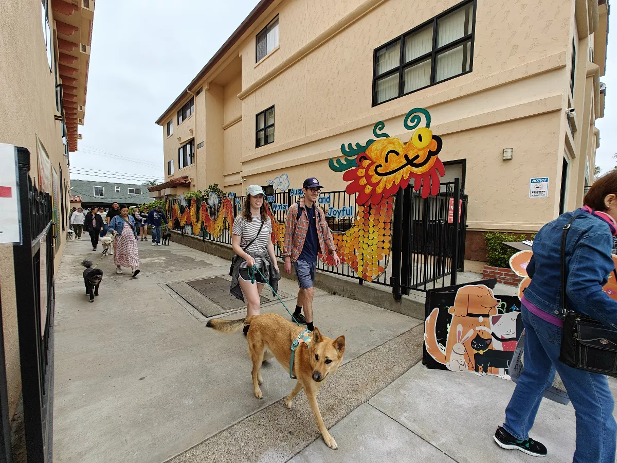 Hsi Fang Temple Fur Baby Walking and Blessing Ceremony: Connecting the Community of University Heights